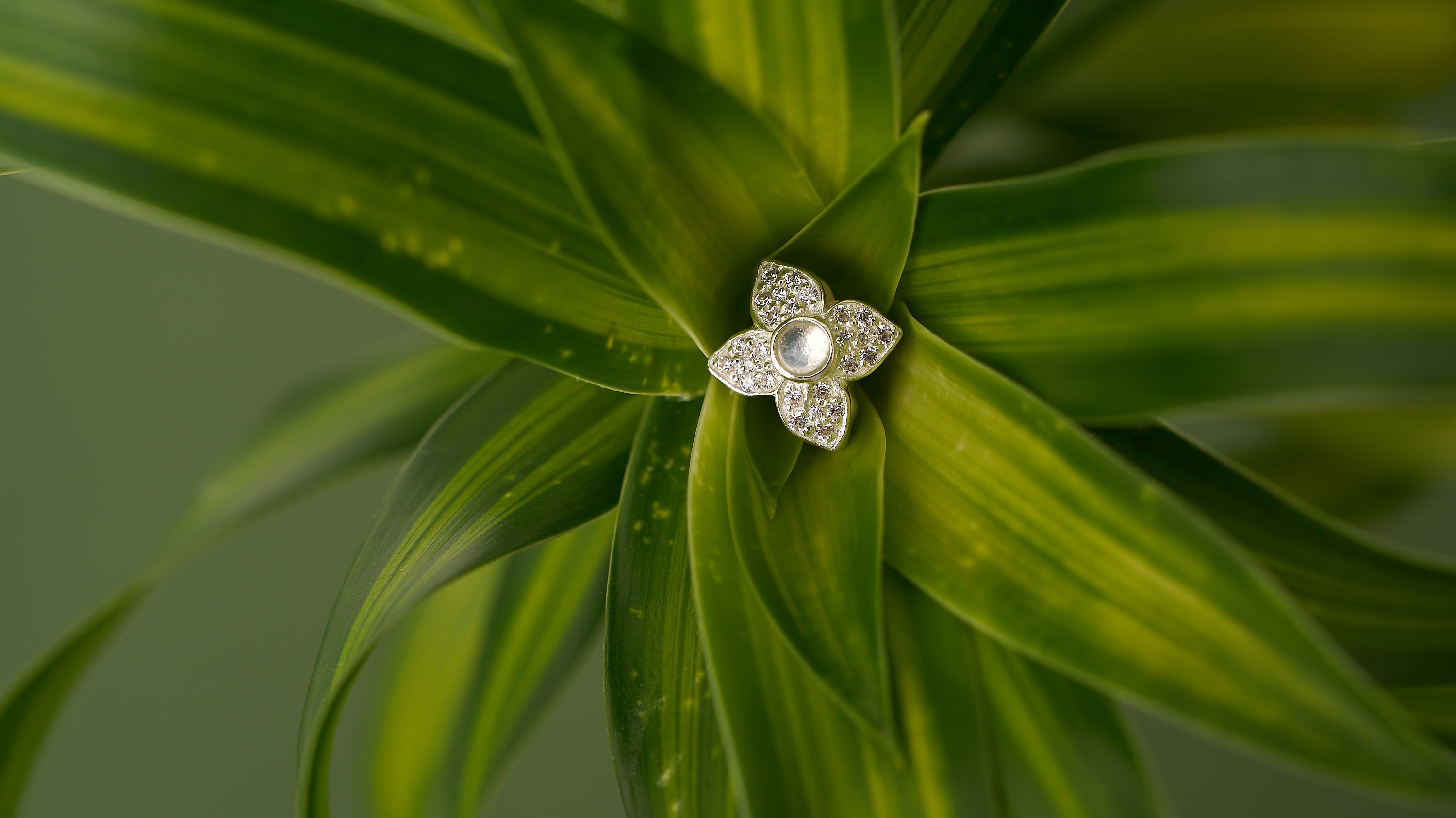 Lovelinks店舗についてのご案内