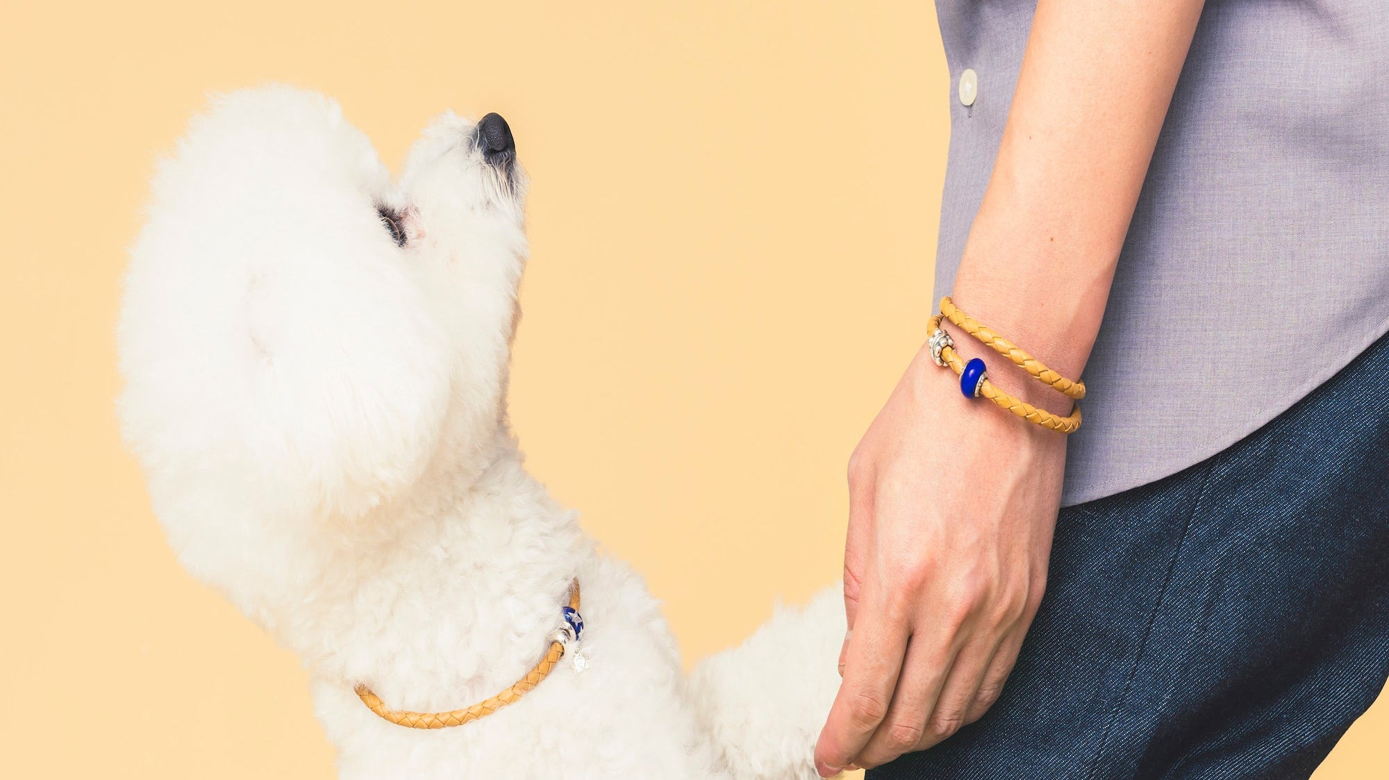 大切な誰かと楽しむ 『Lovelinks WIZ』始まります!