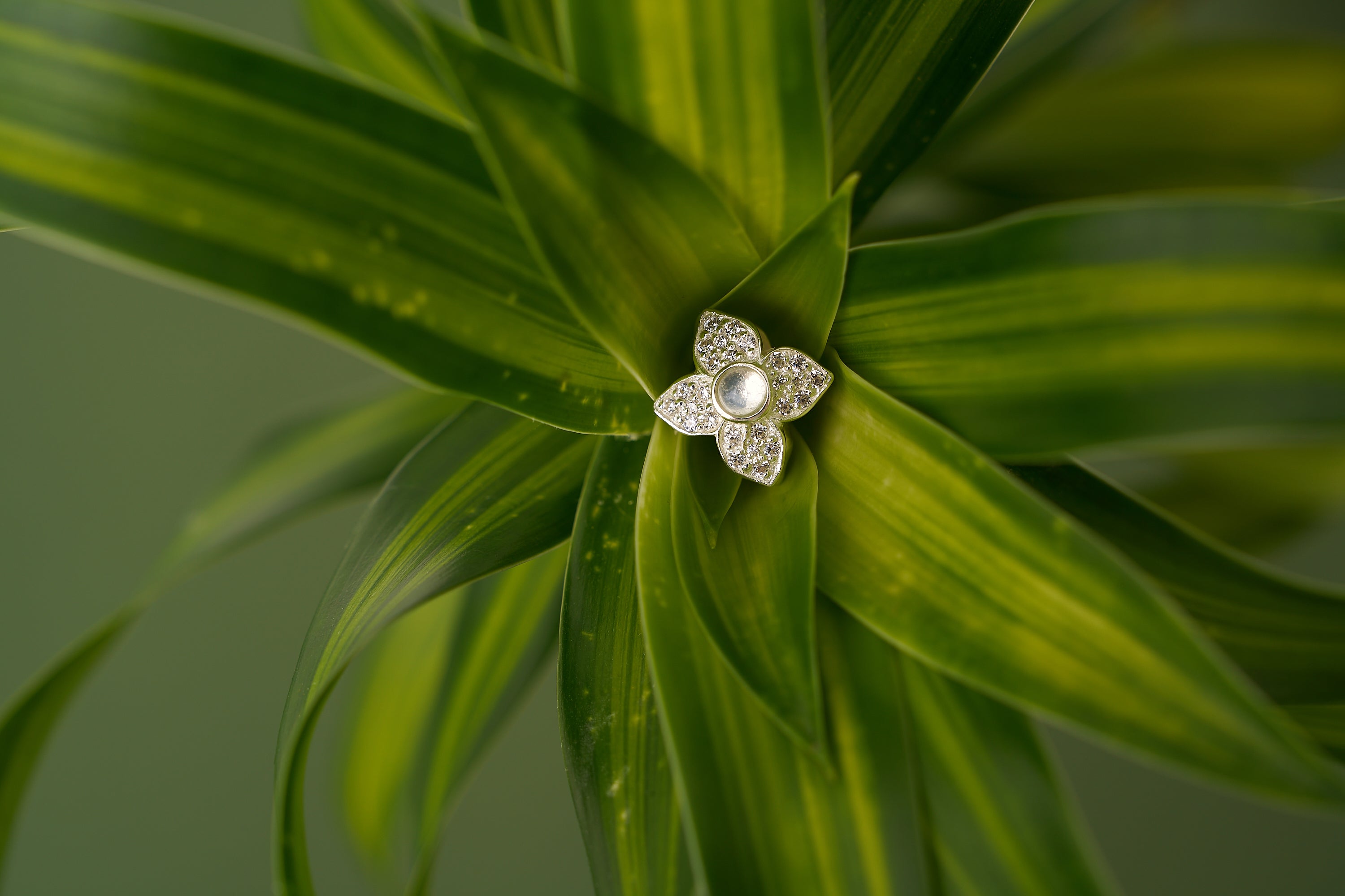 Lovelinks店舗についてのご案内