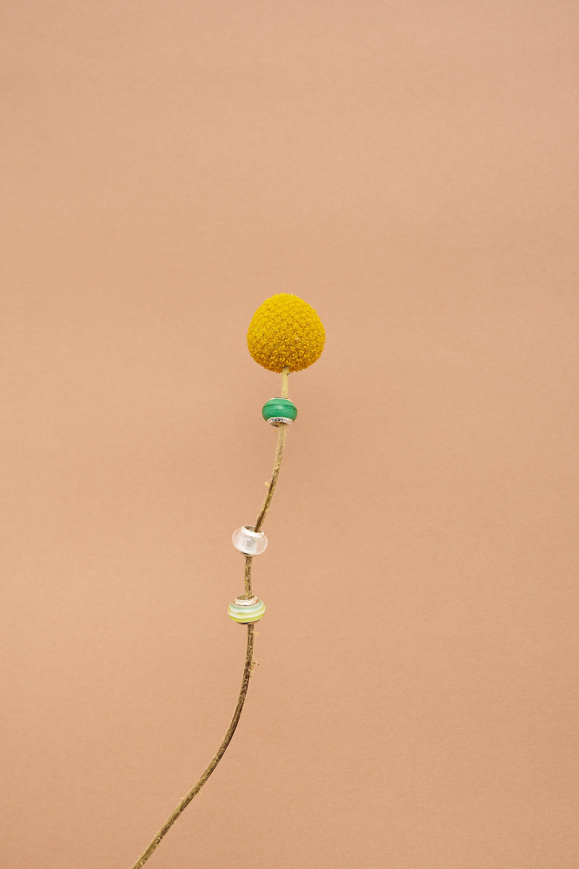 ご注文の安全確認機能のお知らせ