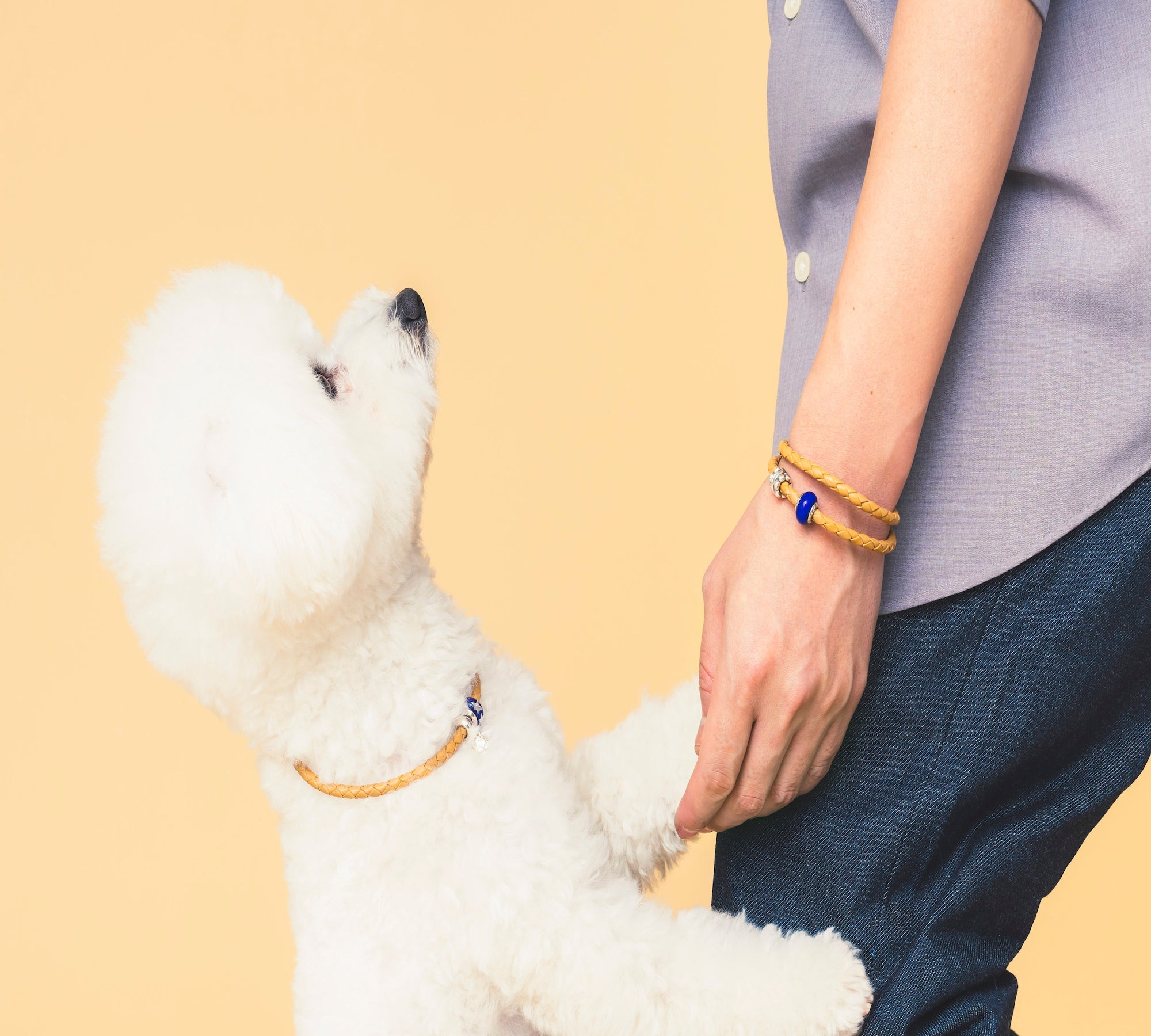 大切な誰かと楽しむ　『Lovelinks WIZ』始まります！