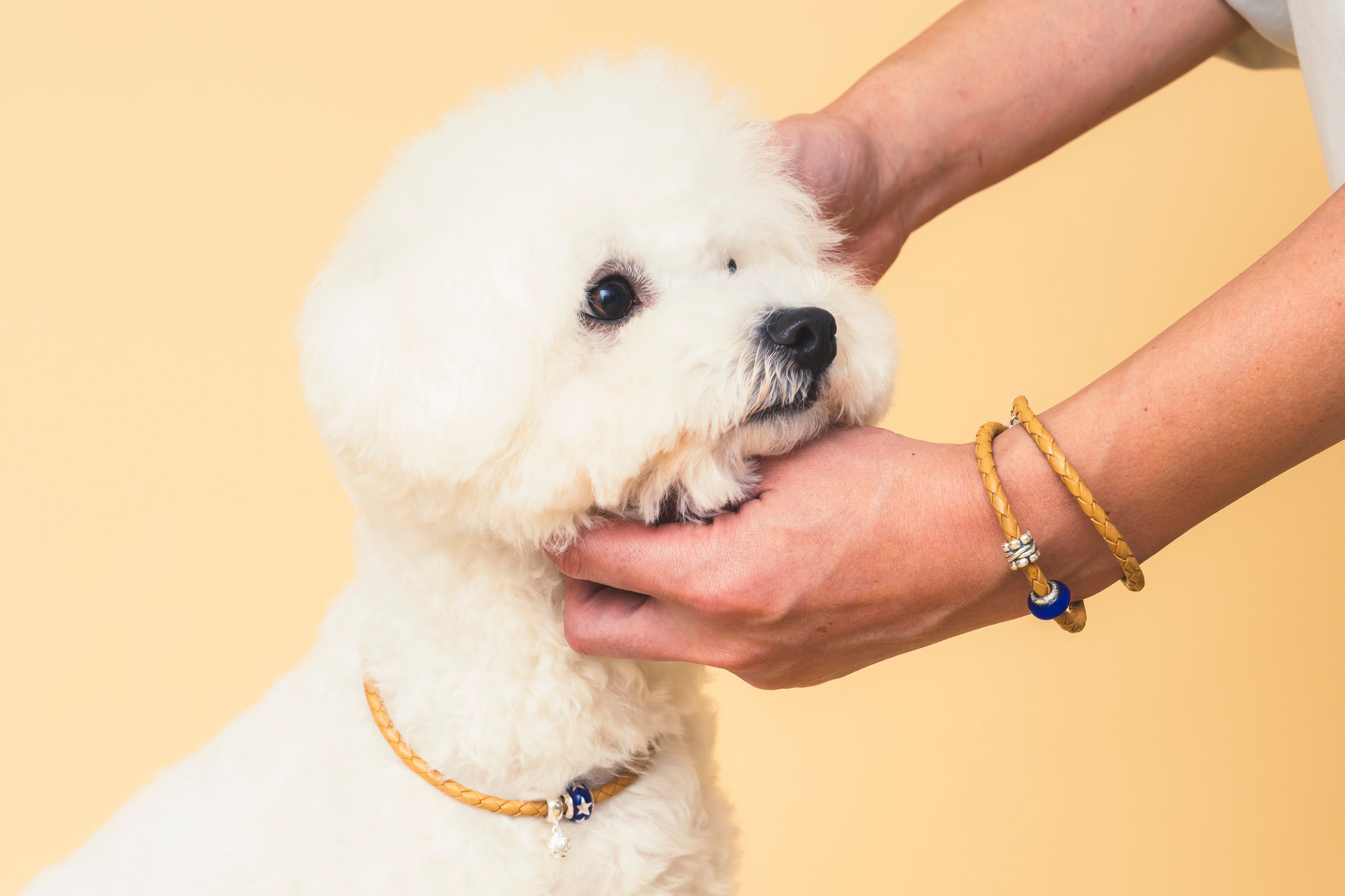 コレクション – Lovelinks Online Store